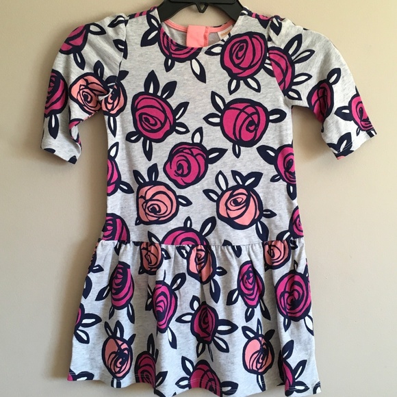 Gymboree Other - Gymboree Girl Grey Floral Dress size 5T.